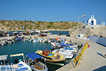 Kolymbia Rhodes - Island of Rhodes Dodecanese - Photo 699 - Photo JustGreece.com