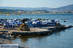 JustGreece.com Kolymbia Rhodes - Island of Rhodes Dodecanese - Photo 715 - Foto van JustGreece.com