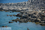 JustGreece.com Ladiko Rhodes - Anthony Quinn Rhodes - Island of Rhodes Dodecanese - Photo 791 - Foto van JustGreece.com