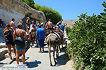 JustGreece.com Lindos Rhodes - Island of Rhodes Dodecanese - Photo 952 - Foto van JustGreece.com