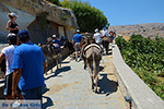 Lindos Rhodes - Island of Rhodes Dodecanese - Photo 953 - Photo JustGreece.com