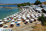 JustGreece.com Lindos Rhodes - Island of Rhodes Dodecanese - Photo 954 - Foto van JustGreece.com