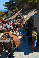 JustGreece.com Lindos Rhodes - Island of Rhodes Dodecanese - Photo 971 - Foto van JustGreece.com