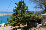 JustGreece.com Lindos Rhodes - Island of Rhodes Dodecanese - Photo 974 - Foto van JustGreece.com