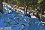 JustGreece.com Lindos Rhodes - Island of Rhodes Dodecanese - Photo 1030 - Foto van JustGreece.com