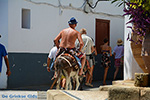 JustGreece.com Lindos Rhodes - Island of Rhodes Dodecanese - Photo 1048 - Foto van JustGreece.com