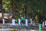 Profitis Ilias Rhodes - Island of Rhodes Dodecanese - Photo 1209 - Photo JustGreece.com