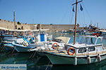 Rhodes town - Rhodes - Island of Rhodes Dodecanese - Photo 1268 - Photo JustGreece.com