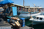 JustGreece.com Rhodes town - Rhodes - Island of Rhodes Dodecanese - Photo 1269 - Foto van JustGreece.com