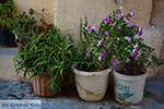 JustGreece.com Rhodes town - Rhodes - Island of Rhodes Dodecanese - Photo 1358 - Foto van JustGreece.com