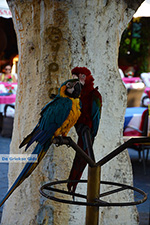 JustGreece.com Rhodes town - Rhodes - Island of Rhodes Dodecanese - Photo 1373 - Foto van JustGreece.com