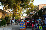 Rhodes town - Rhodes - Island of Rhodes Dodecanese - Photo 1417 - Photo JustGreece.com