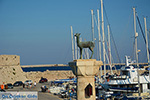Rhodes town - Rhodes - Island of Rhodes Dodecanese - Photo 1506 - Photo JustGreece.com