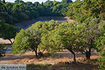 Rhodes town - Rhodes - Island of Rhodes Dodecanese - Photo 1569 - Photo JustGreece.com