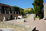 Rhodes town - Rhodes - Island of Rhodes Dodecanese - Photo 1652 - Photo JustGreece.com