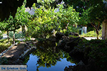 JustGreece.com Rhodes town - Rhodes - Island of Rhodes Dodecanese - Photo 1655 - Foto van JustGreece.com