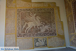 Rhodes town - Rhodes - Island of Rhodes Dodecanese - Photo 1657 - Photo JustGreece.com