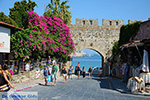 Rhodes town - Rhodes - Island of Rhodes Dodecanese - Photo 1752 - Photo JustGreece.com
