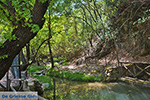 JustGreece.com Valley of Butterflies Rhodes - Island of Rhodes Dodecanese - Photo 1832 - Foto van JustGreece.com