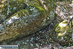 JustGreece.com Valley of Butterflies Rhodes - Island of Rhodes Dodecanese - Photo 1841 - Foto van JustGreece.com