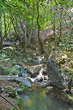 JustGreece.com Valley of Butterflies Rhodes - Island of Rhodes Dodecanese - Photo 1844 - Foto van JustGreece.com