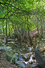 JustGreece.com Valley of Butterflies Rhodes - Island of Rhodes Dodecanese - Photo 1845 - Foto van JustGreece.com