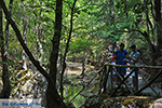 JustGreece.com Valley of Butterflies Rhodes - Island of Rhodes Dodecanese - Photo 1849 - Foto van JustGreece.com