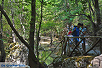 JustGreece.com Valley of Butterflies Rhodes - Island of Rhodes Dodecanese - Photo 1850 - Foto van JustGreece.com