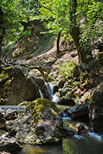 JustGreece.com Valley of Butterflies Rhodes - Island of Rhodes Dodecanese - Photo 1852 - Foto van JustGreece.com