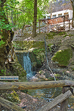 JustGreece.com Valley of Butterflies Rhodes - Island of Rhodes Dodecanese - Photo 1866 - Foto van JustGreece.com