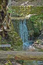 JustGreece.com Valley of Butterflies Rhodes - Island of Rhodes Dodecanese - Photo 1867 - Foto van JustGreece.com