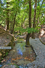 JustGreece.com Valley of Butterflies Rhodes - Island of Rhodes Dodecanese - Photo 1868 - Foto van JustGreece.com