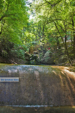 JustGreece.com Valley of Butterflies Rhodes - Island of Rhodes Dodecanese - Photo 1873 - Foto van JustGreece.com