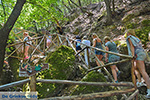 JustGreece.com Valley of Butterflies Rhodes - Island of Rhodes Dodecanese - Photo 1877 - Foto van JustGreece.com