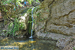 Valley of Butterflies Rhodes - Island of Rhodes Dodecanese - Photo 1878 - Photo JustGreece.com