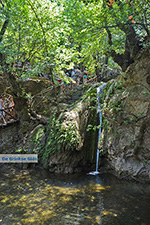 JustGreece.com Valley of Butterflies Rhodes - Island of Rhodes Dodecanese - Photo 1879 - Foto van JustGreece.com