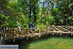 JustGreece.com Valley of Butterflies Rhodes - Island of Rhodes Dodecanese - Photo 1880 - Foto van JustGreece.com