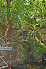 Valley of Butterflies Rhodes - Island of Rhodes Dodecanese - Photo 1884 - Photo JustGreece.com