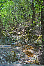 JustGreece.com Valley of Butterflies Rhodes - Island of Rhodes Dodecanese - Photo 1885 - Foto van JustGreece.com