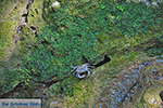 Valley of Butterflies Rhodes - Island of Rhodes Dodecanese - Photo 1898 - Photo JustGreece.com