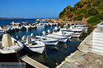 JustGreece.com Agia Paraskevi Samos | Greece | Photo 6 - Foto van JustGreece.com