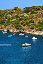 JustGreece.com Agia Paraskevi Samos | Greece | Photo 17 - Foto van JustGreece.com