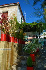 JustGreece.com Avlakia Samos | Greece | Greece  Photo 17 - Foto van JustGreece.com