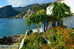 JustGreece.com Avlakia Samos | Greece | Greece  Photo 18 - Foto van JustGreece.com