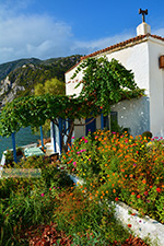 JustGreece.com Avlakia Samos | Greece | Greece  Photo 20 - Foto van JustGreece.com