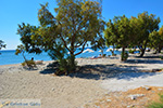 JustGreece.com The beaches Kampos Samos and Votsalakia Samos | Greece Photo 19 - Foto van JustGreece.com