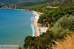 JustGreece.com Psili Ammos Limnionas Samos | Greece | Photo 8 - Foto van JustGreece.com