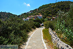 JustGreece.com Psili Ammos Limnionas Samos | Greece | Photo 28 - Foto van JustGreece.com