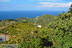 JustGreece.com Manolates Samos | Greece | Photo 1 - Foto van JustGreece.com