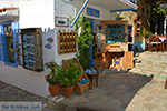 JustGreece.com Manolates Samos | Greece | Photo 30 - Foto van JustGreece.com